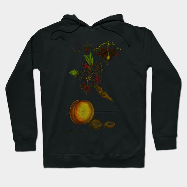 apricot Hoodie by ysmnlettering